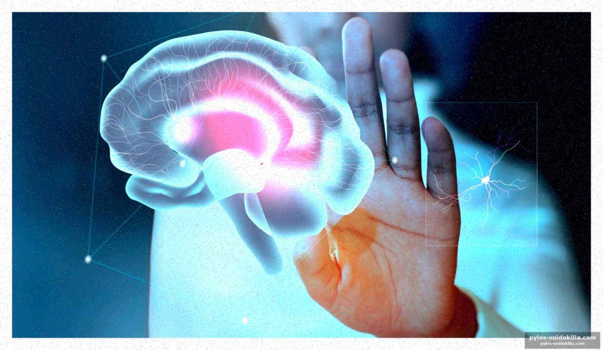 Le cerveau, un réseau de lumière invisible ?
