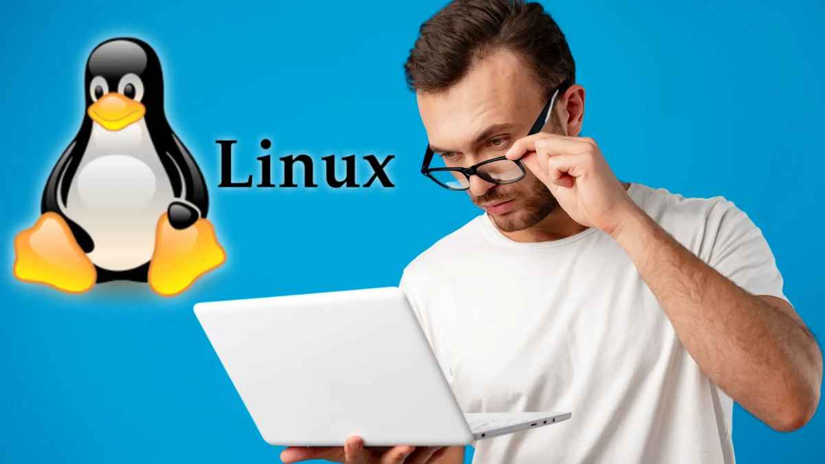Découvrez les distributions linux alternatives à ubuntu