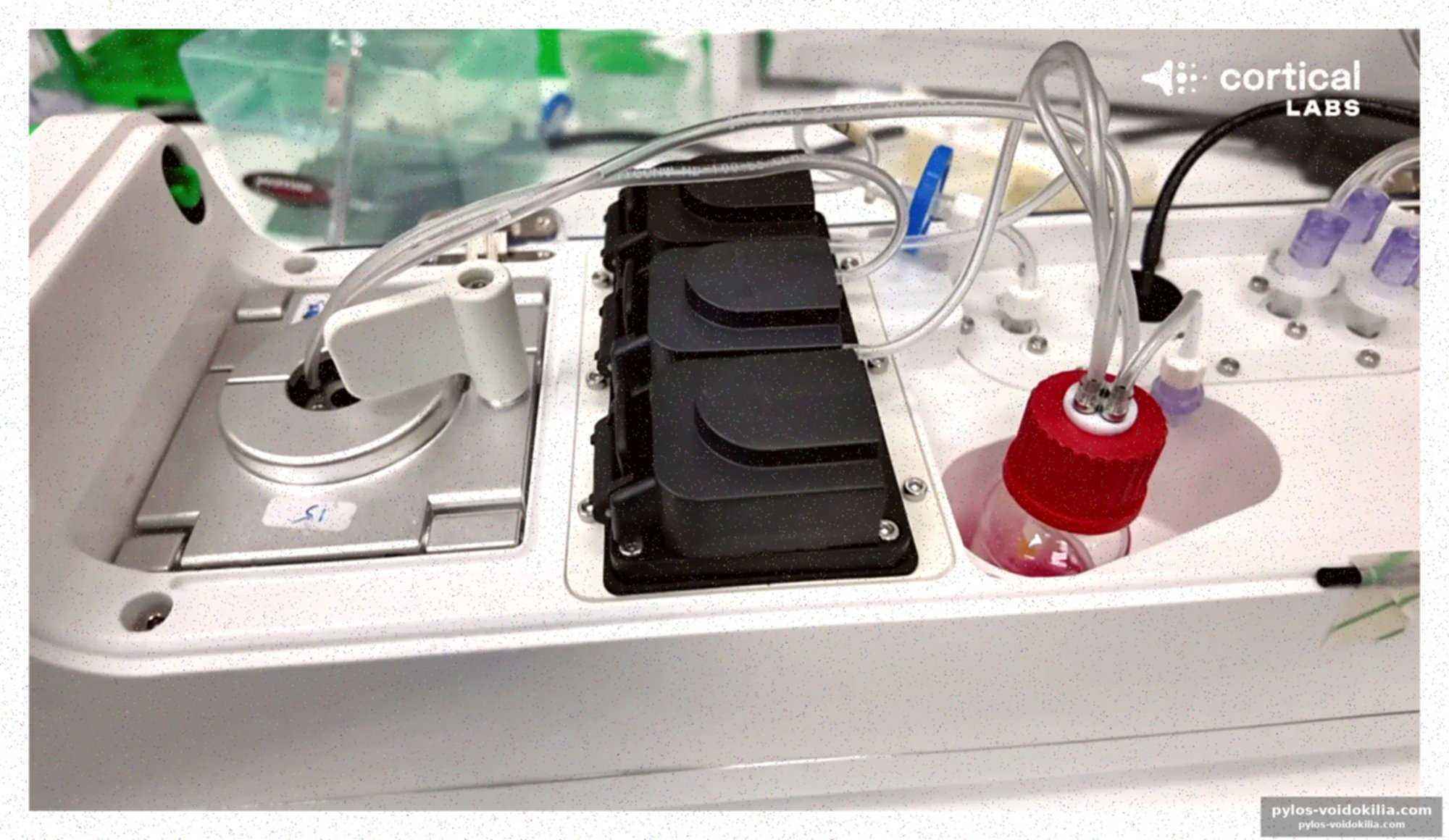 Cortical labs prépare des centres de données biologiques