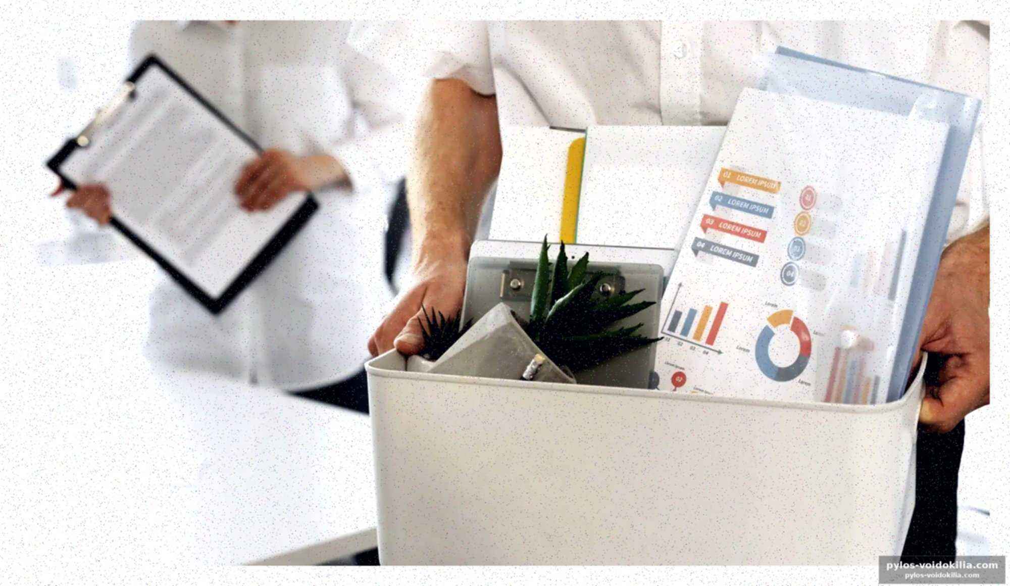 « Nous nous préparions à notre propre remplacement » : la parole d