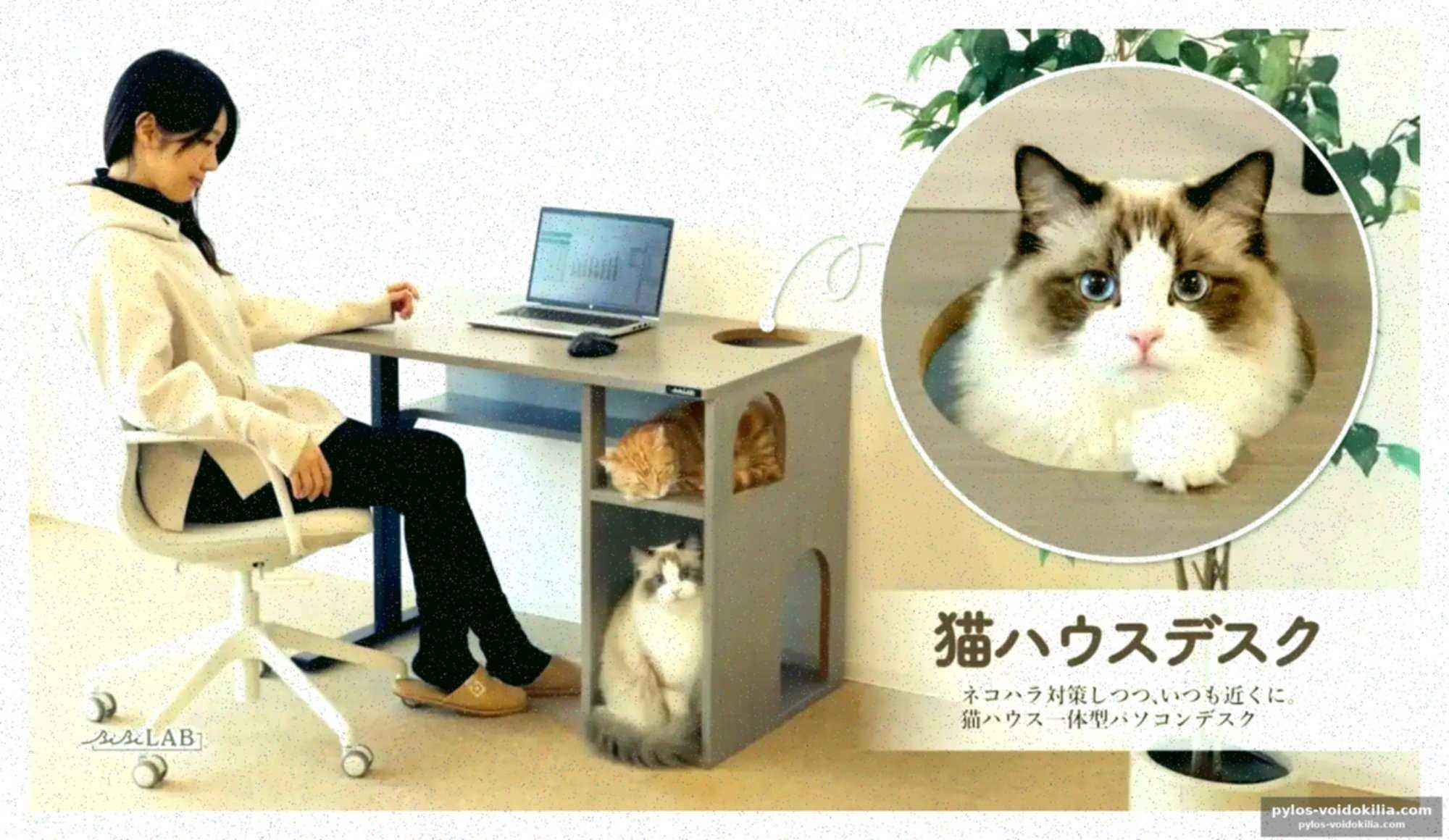 Le bureau neko home : une conception pensée pour les chats