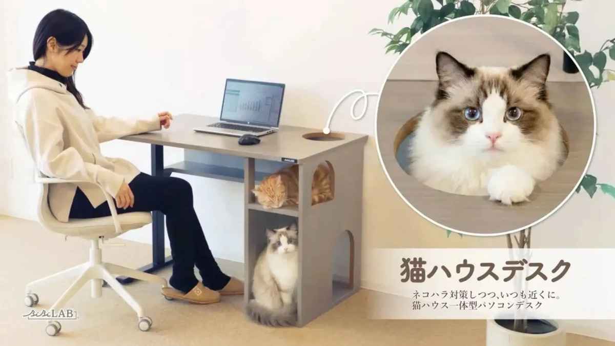 Japon : une table pour chats, un bureau pour humains. la révolution neko home.