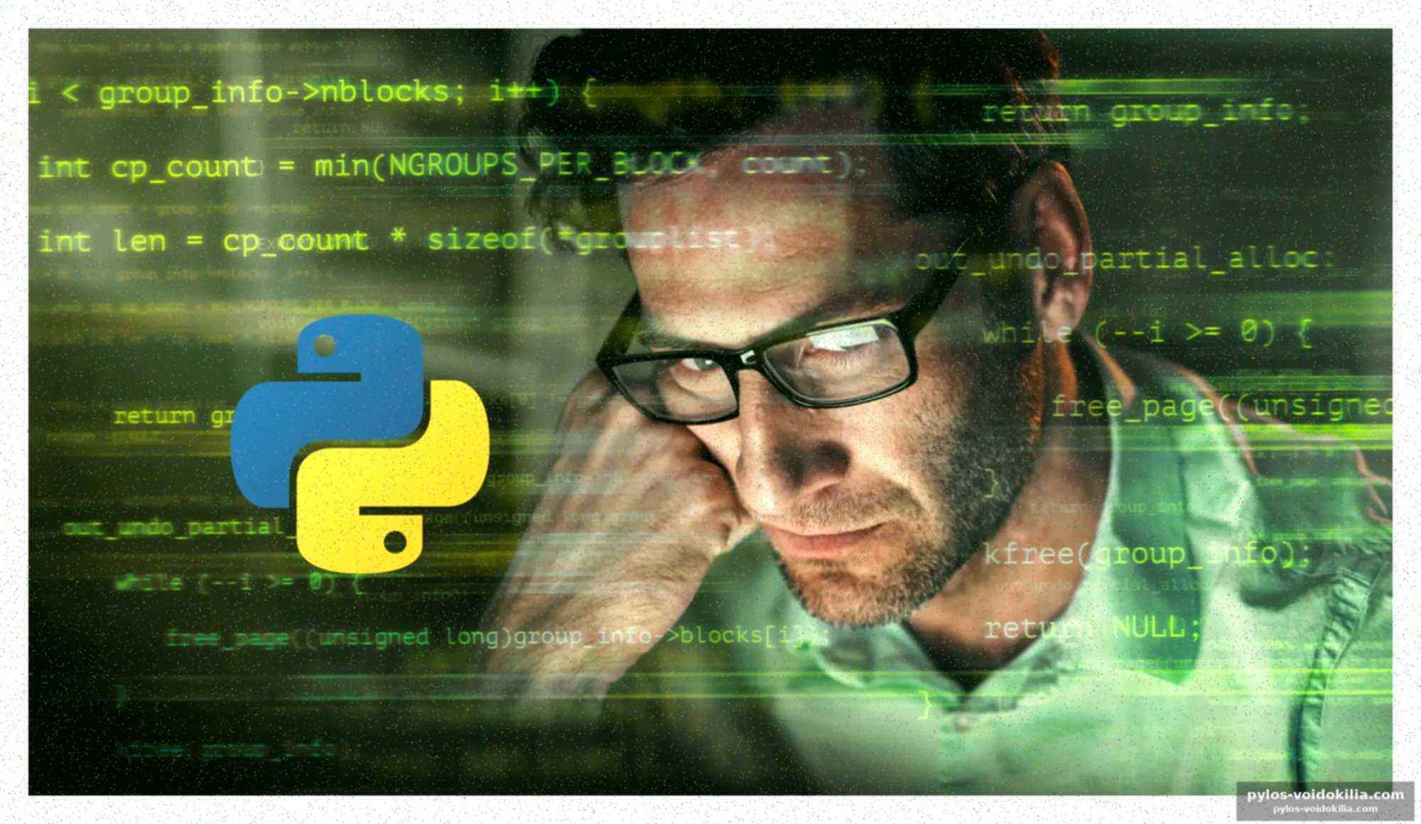 La chute de python : un déclin inattendu
