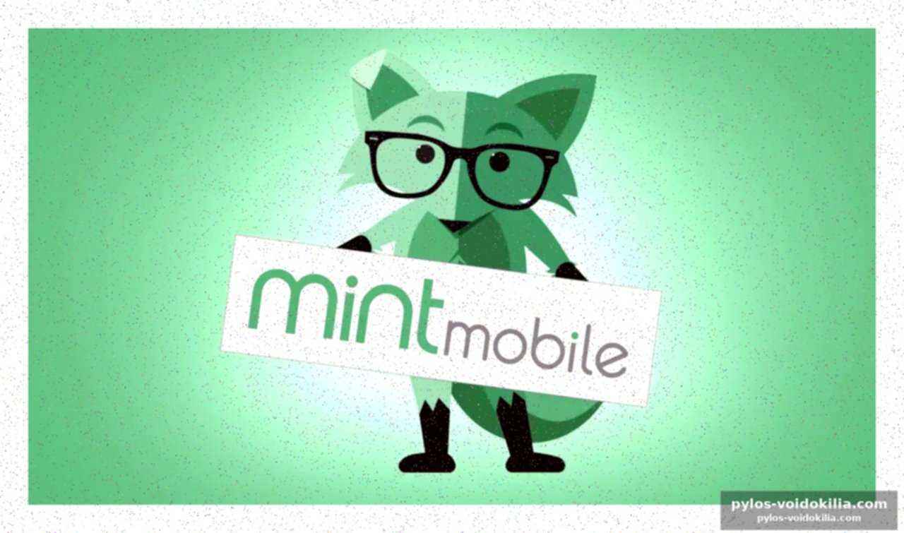 Mint mobile : une opportunité à saisir