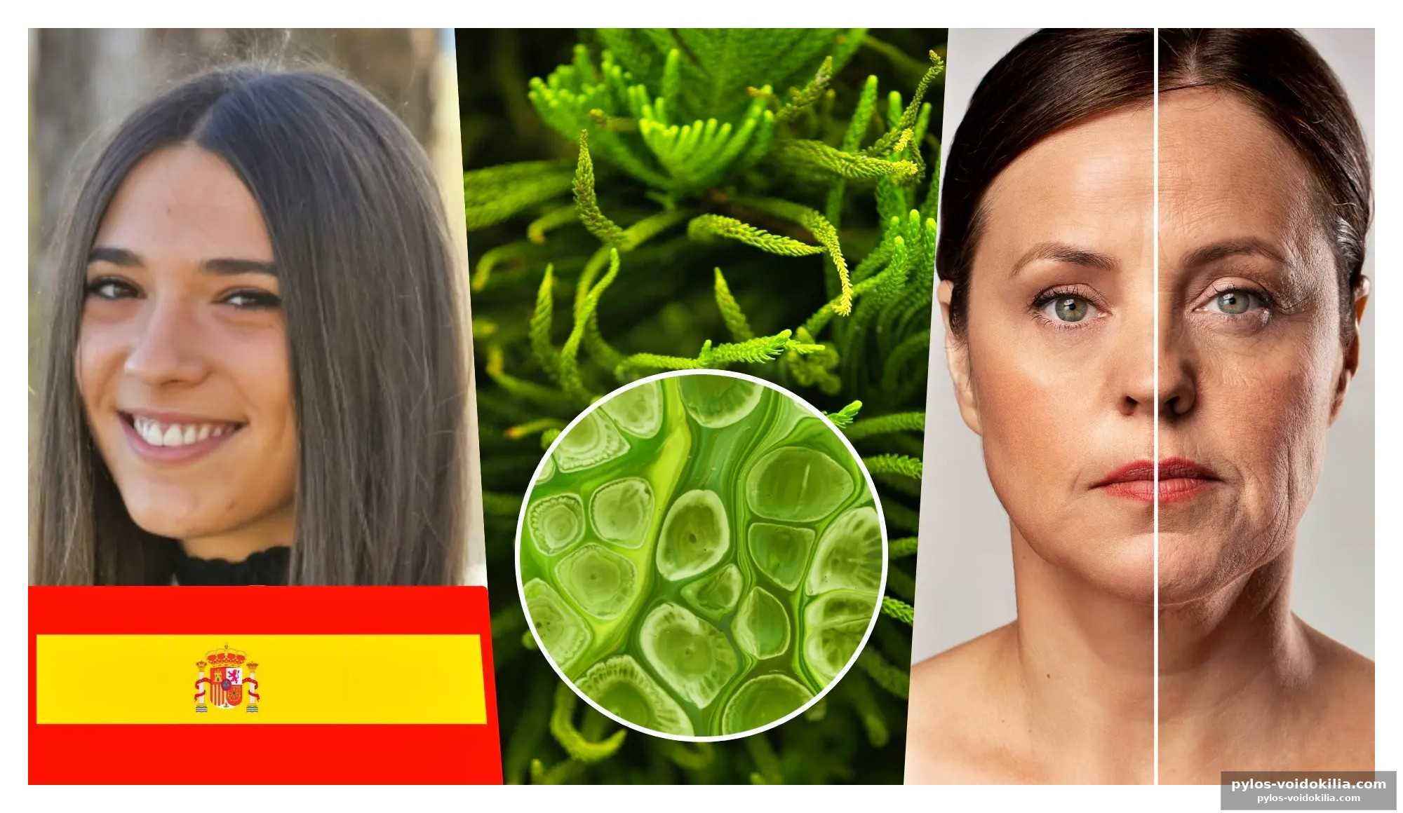 Au-delà de la restriction calorique