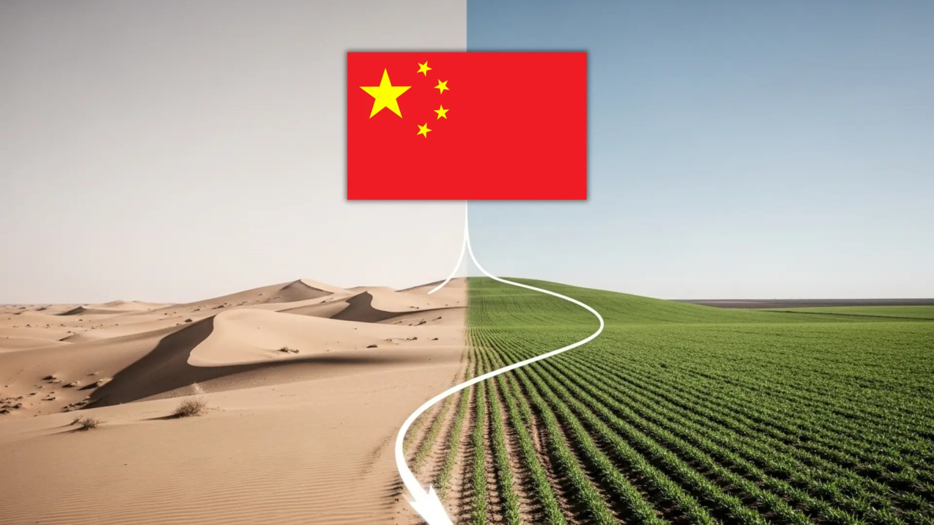 Une technique révolutionnaire pour lutter contre la désertification en chine