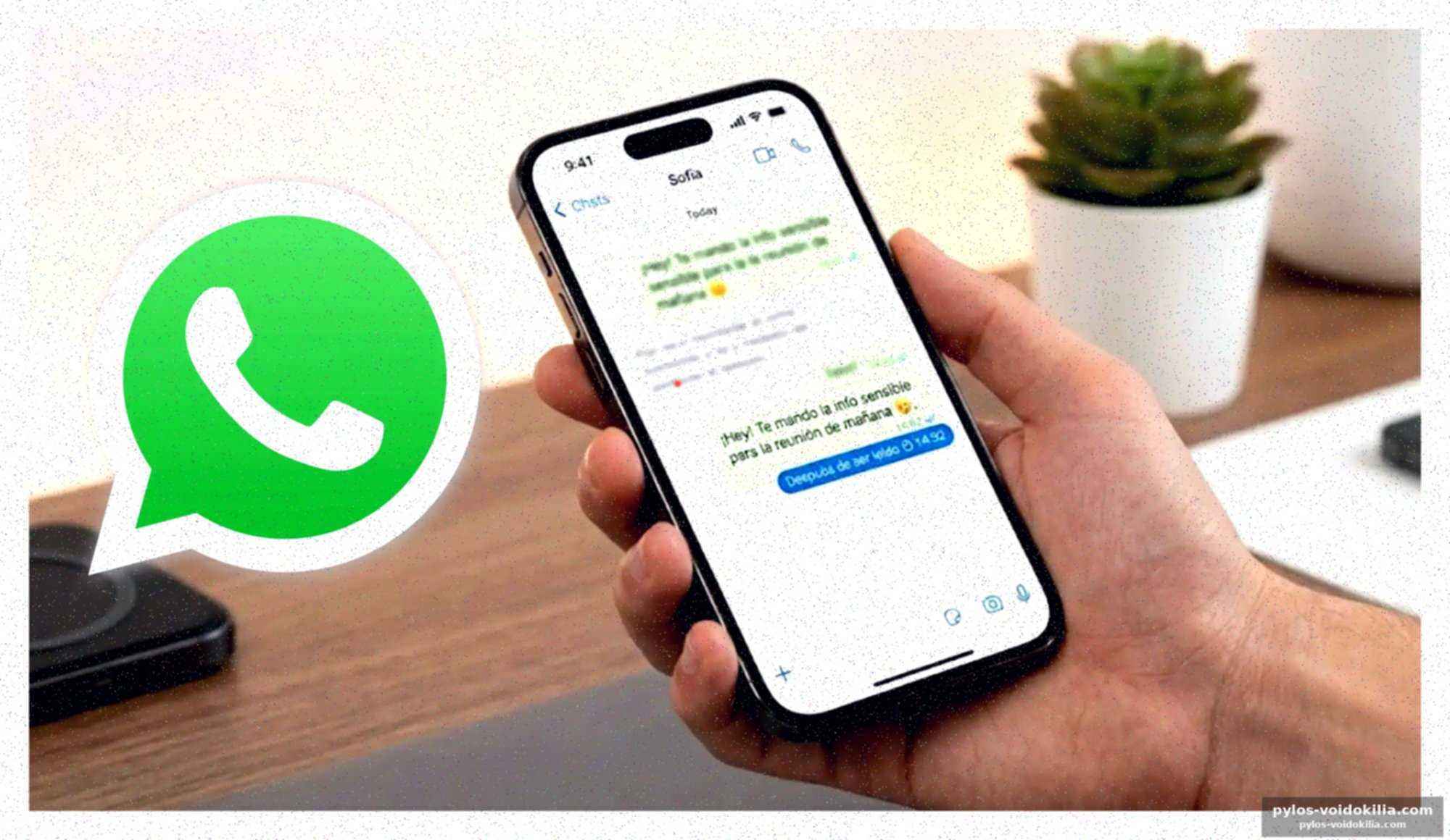 Whatsapp expérimente la disparition des messages après lecture